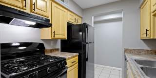 The Pines at SoBro Gallery 2