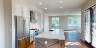 ila Hyde Park Gallery 15