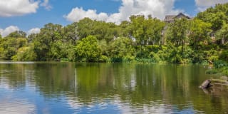 The Falls Round Rock Gallery 4