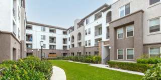 Griffis Mission Valley Gallery 22