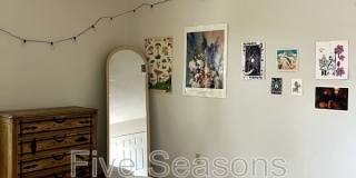 115-7 North Winooski Avenue - 7 Gallery 17