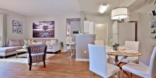 Summer Winds Gallery 11