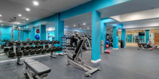 Northpark Gallery 33