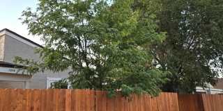 117 N Glenwood Drive Gallery 22
