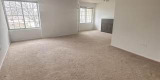 8750 Harrison Avenue unit: 213 Gallery 5