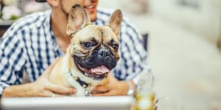 Pavona Apartments Pavona Apartments Gallery 33