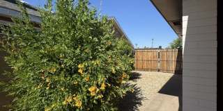 REMODELED GEM IN THE HEART OF SCOTTSDALE Gallery 51
