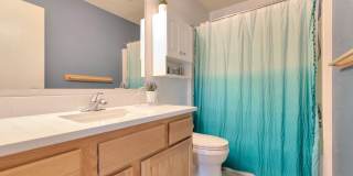 Spacious home in Lacey. Apply today to call this home yours!! Spacious home in Lacey. Apply today to call this home yours!! Gallery 20