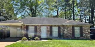 Adorable home in Southaven! Gallery 1