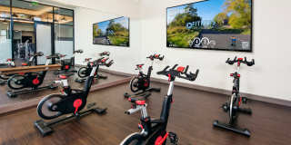 The Point at Southern Blvd Gallery 15