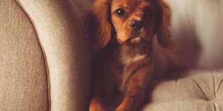 Timbercreek East Gallery 22