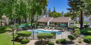 Santa Teresa Gallery 15