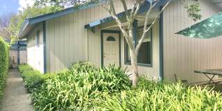 314 Hewett Street Gallery 2