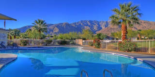 1207 Palmas Ridge Gallery 27