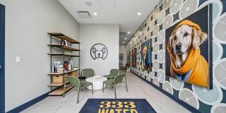 333 Water 333 Water Gallery 31