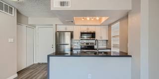 Rise on Cactus Gallery 4