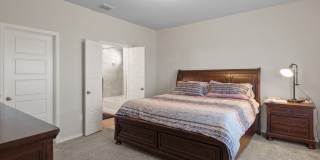 5418 Cicada Gallery 11