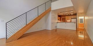 Spacious 1 Bedroom Loft at Ryland Mews Gallery 1