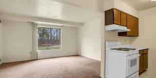 Chippewa Village Apartments Gallery 30