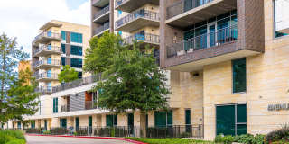 Avenue Grove Gallery 25