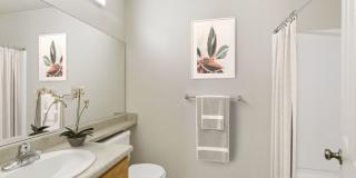 Sycamore Village Gallery 17