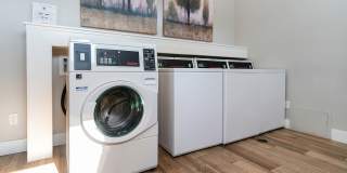 Hunter's Pointe Gallery 109