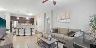 District at Greenville District at Greenville Gallery 3