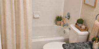 2606 Timberline Drive Gallery 8