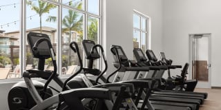 The Element Gallery 14