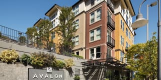 Avalon Bellevue Gallery 29