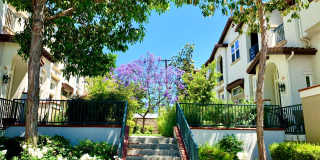 Enchanting 4 bedroom/2.5 bath property in the heart of Claremont Village Gallery 22