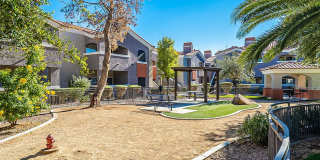 Bloom Apartment Homes Gallery 62