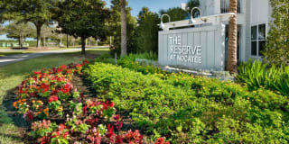 The Reserve at Nocatee Gallery 7