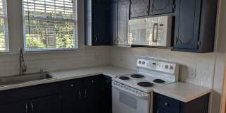 1117 Kinard Court Gallery 9