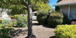 6589 Meadowridge Drive Gallery 17