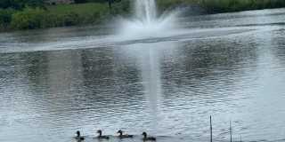 25128 DEERHURST Terrace Gallery 26