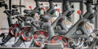 Sanctuary Gallery 25