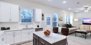 HAMILTON PLAN Gallery 1