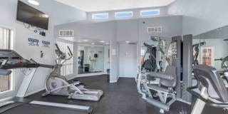 Urban Walk Gallery 28