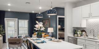 Solis Buffaloe Gallery 6