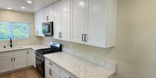 5826 5826 Gallery 20