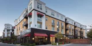 Bell Mt. Tam Gallery 23