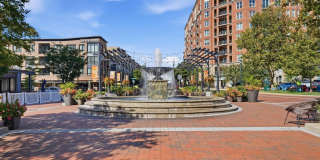 Rockville's Park Potomac Gallery 34
