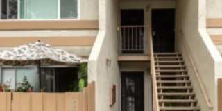 2474 Bolker Dr Gallery 20