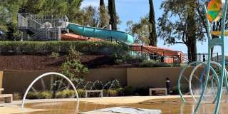 29657 Starring Gallery 36