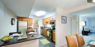 The Amberleigh Gallery 30