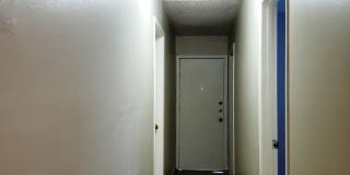 918 Hampton Gallery 15