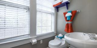 West Campus Cottage! Gallery 19