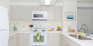 Kanekapolei Collection Gallery 1