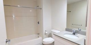 Gorgeous, Spacious South End 2 Bed 1.7 Bath, Hot Water and Partial Heat Incl Gallery 6